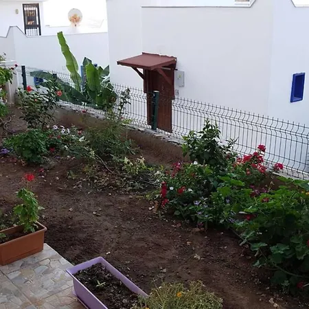 Yazlik * Αλικαρνασσός